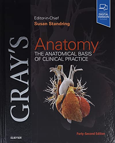 Gray's Anatomy: The Anatomical Basis of Clinical Practice