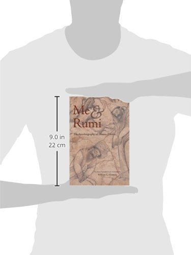 Me and Rumi: The Autobiography of Shams-I Tabrizi