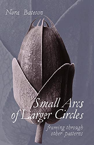 Small Arcs of Larger Circles: Framing Through Other Patterns - Paperback