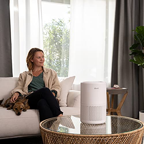 LEVOIT Air Purifiers for Home, Smart WiFi Alexa Control, H13 True HEPA Filter for Allergies, Pets, Smoke, Dust, Pollen, Ozone Free, 24db Quiet Cleaner for Bedroom with Display Off, Core 200S