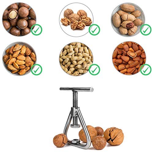 Anwenk Nut Cracker Black Walnut Cracker Stainless Steel Pecan Cracker Nutcracker Tool Heavy Duty for All Nuts,Black Walnut, Macadamia Nuts, Hazelnut, Almonds,Pecan,Walnuts